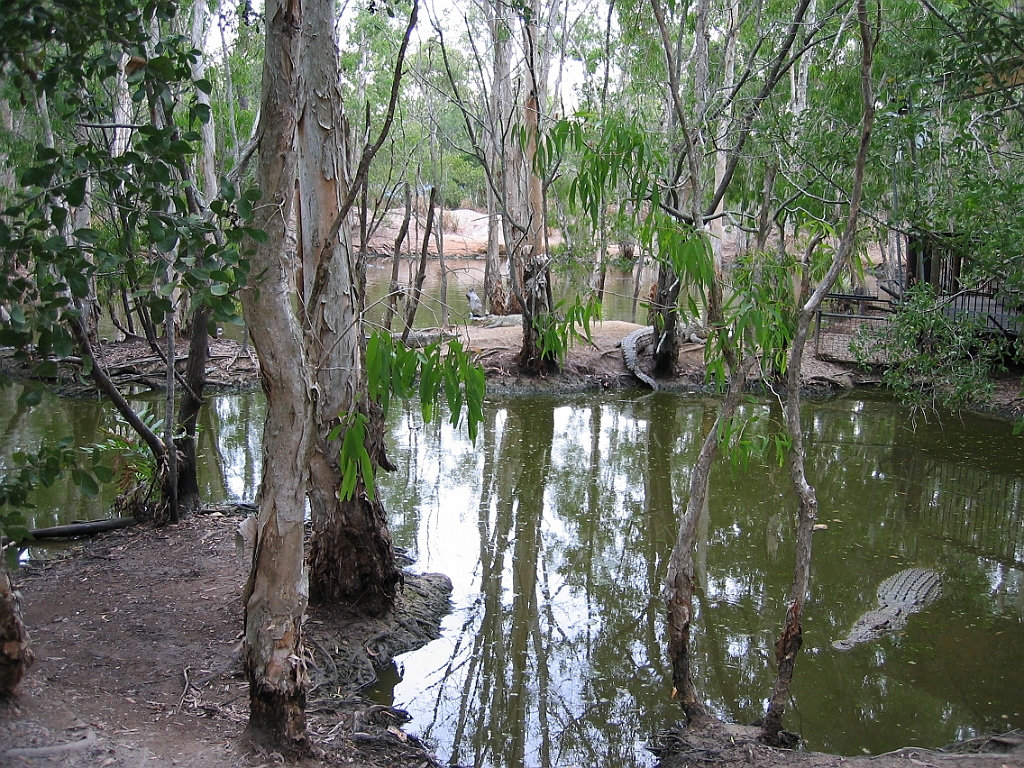 214 Hartley's Crocodile Farm.jpg